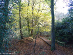 Springendal